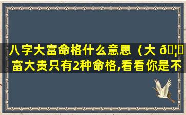 八字大富命格什么意思（大 🦆 富大贵只有2种命格,看看你是不是这种八字）